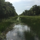 McNeill-Peach Creek Unit at San Bernard National Wildlife Refuge