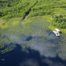 A platform sits above the swamp at Okefenokee Refuge.