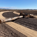 tree trunk lies across path in dirt