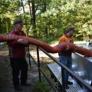 Hatchery personnel transferring trout from truck to truck with stocking hose