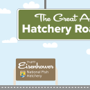 A graphic of a light blue sky with puffy clouds. A green highway sign hangs from the top and reads "The Great American Hatchery Road Trip." At the bottom, a fish drives a blue car along a road toward a brown sign with the USFWS logo and text that reads "Dwight D. Eisenhower National Fish Hatchery."