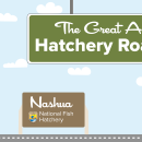 A graphic of a light blue sky with puffy clouds. A green highway sign hangs from the top and reads "The Great American Hatchery Road Trip." At the bottom, a fish drives a blue car along a road toward a brown sign with the USFWS logo and text that reads "Nashua National Fish Hatchery."