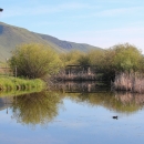 An overlook near a pond.