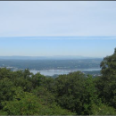 Photograph from a wooded hilltop of the Hudson River 