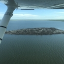 Aerial view of wetlands and white dots are pelicans