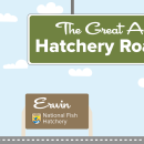 A graphic of a light blue sky with puffy clouds. A green highway sign hangs from the top and reads "The Great American Hatchery Road Trip." At the bottom, a fish drives a blue car along a road toward a brown sign with the USFWS logo and text that reads "Erwin National Fish Hatchery."