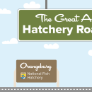 A graphic of a light blue sky with puffy clouds. A green highway sign hangs from the top and reads "The Great American Hatchery Road Trip." At the bottom, a fish drives a blue car along a road toward a brown sign with the USFWS logo and text that reads "Orangeburg National Fish Hatchery."