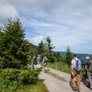 Group of people walking along a dirt road past conifer trees and a scenic vista