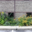 Flowering plants in front of an office building