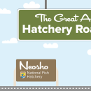 A graphic of a light blue sky with puffy clouds. A green highway sign hangs from the top and reads "The Great American Hatchery Road Trip." At the bottom, a fish drives a blue car along a road toward a brown sign with the USFWS logo and text that reads "Neosho National Fish Hatchery."