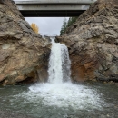 The 40-foot waterfall at Tieton Bridge in Washington is a problem for migrating fish.