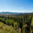 a sweeping view of trees in a valley with mountains in the distance