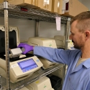 Staff member uses PCR to process eDNA samples