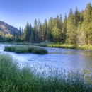 river with trees and plants