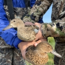 biologists holding 2 ducks next to each other