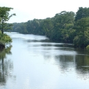 Ochlockonee River in Florida