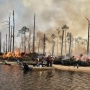 Prescribed burn on island