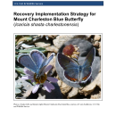 Mount Charleston blue butterfly Recovery Implementation Strategy