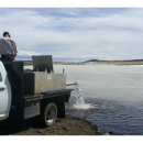 Stocking sunrise lake on Fort Apache Indian Reservation