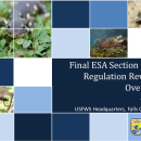 Final Endangered Species Act Section 10(a) Regulation Revisions Overview Presentation