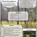 Harris Neck Forest Management Information Poster