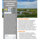 Marsh Migration Case Study Handout