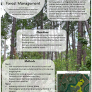 Pinckney Island NWR Forest Management Project Informational Poster