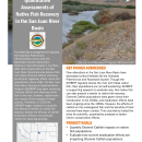 Quantitative Assessments of Native Fish Recovery Handout