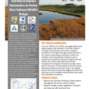 Salt Marsh Restoration Handout