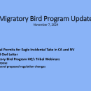 Fall 2024 Tribal Coordination Meeting Migratory Bird Program Updates