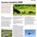 Carolina Sandhills Feral Swine Management Fact Sheet