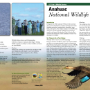 Anahuac National Wildlife Refuge Brochure