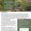 Water Leasing in the Middle Rio Grande Valley Handout