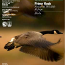 BirdBrochure.pdf