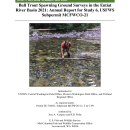 Bull Trout Spawning Ground Surveys in the Entiat River Basin 2021-508.pdf