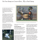 Fact Sheet: Federal Duck Stamp Program