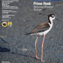 PrimeHookBrochure.pdf