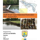 Shoal Creek Restoration Plan 