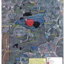 Tensas River NWR Georeferenced Hunt Map 2020