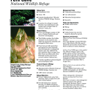 Fern Cave NWR Fact Sheet