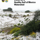 Vision for a Healthy Gulf of Mexico Watershed