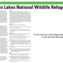 Pocosin Lakes NWR Tearsheet