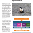 Recovery Planning and Implementation Under the Endangered Species Act