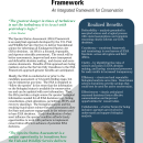 Species Status Assessment Fact Sheet