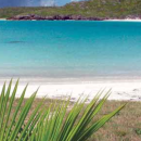 Vieques NWR Brochure in English