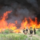 Five firefighters tend to a prescribed fire