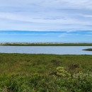 A National Wildlife Refuge sign with a blue goose stands before a field of low-growing plants with a large wetland beyond. In the distance sand dunes are on the horizon beneath a blue sky.