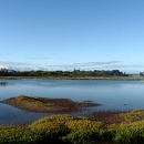 A landscape shot of Pearl Harbor National Wildlife Refuge