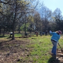 volunteers plant native shrubs