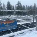 A spring chinook sign on a fence in front of snow-covered hatchery raceways